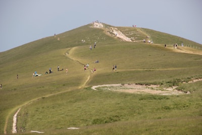 people walking on green grass field during daytime