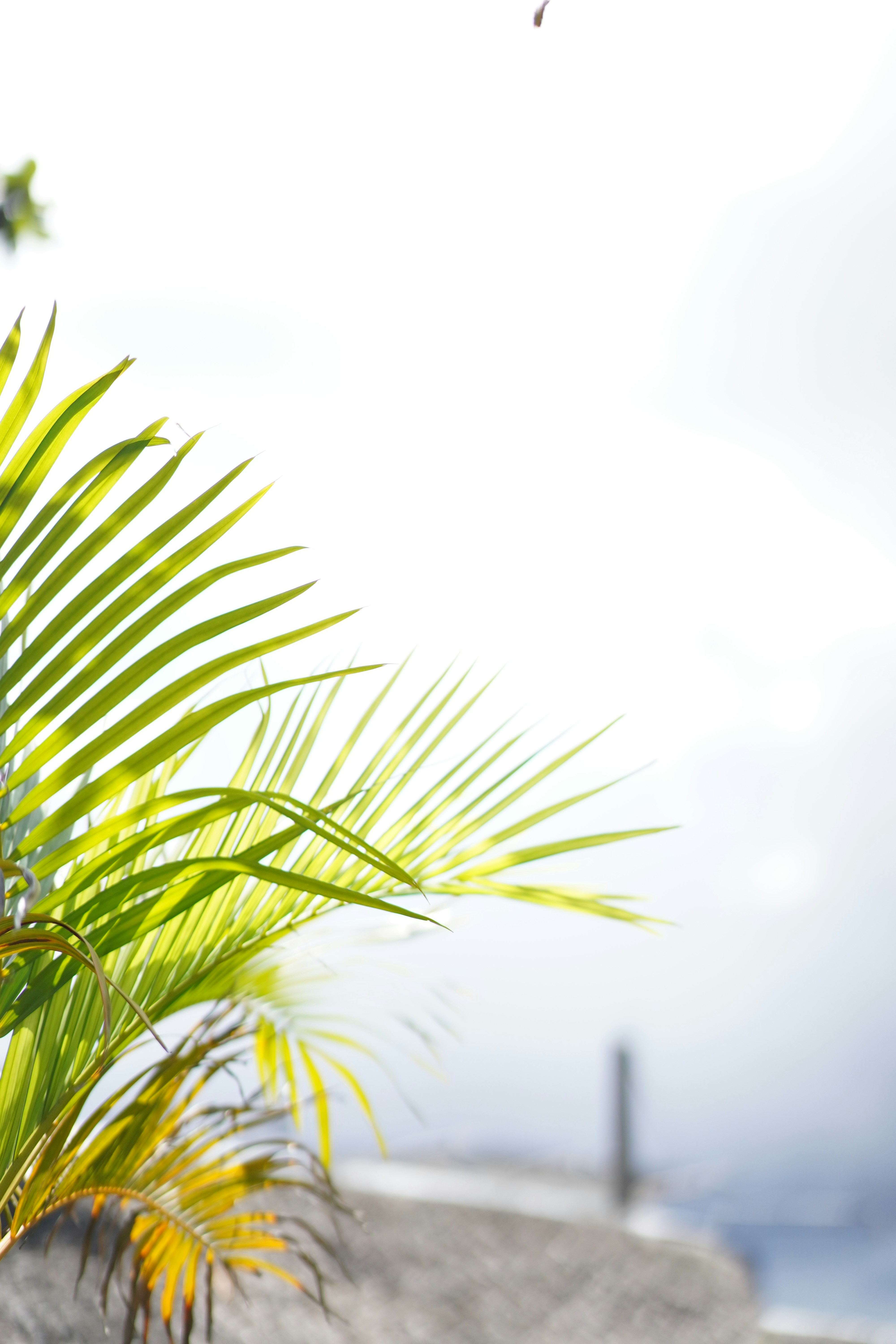 Patong Swiss Hotel Phuket