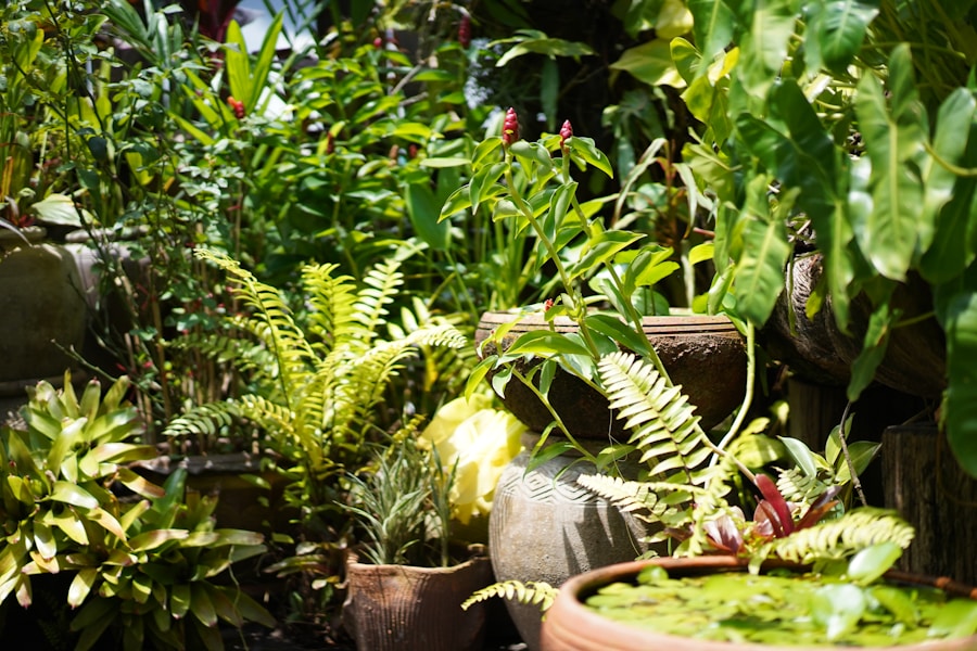 Photo 1590738751525 998c2f11b857?q=85&w=1200&h=600&fit=crop