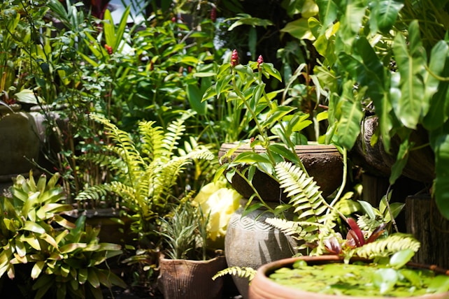Lush greenery fills the setting with a variety of plants in various shades of green. Ferns and leafy plants are prominently displayed in decorative pots. There is a natural, vibrant feel to the scene with dappled sunlight filtering through, creating playful patterns on the leaves.