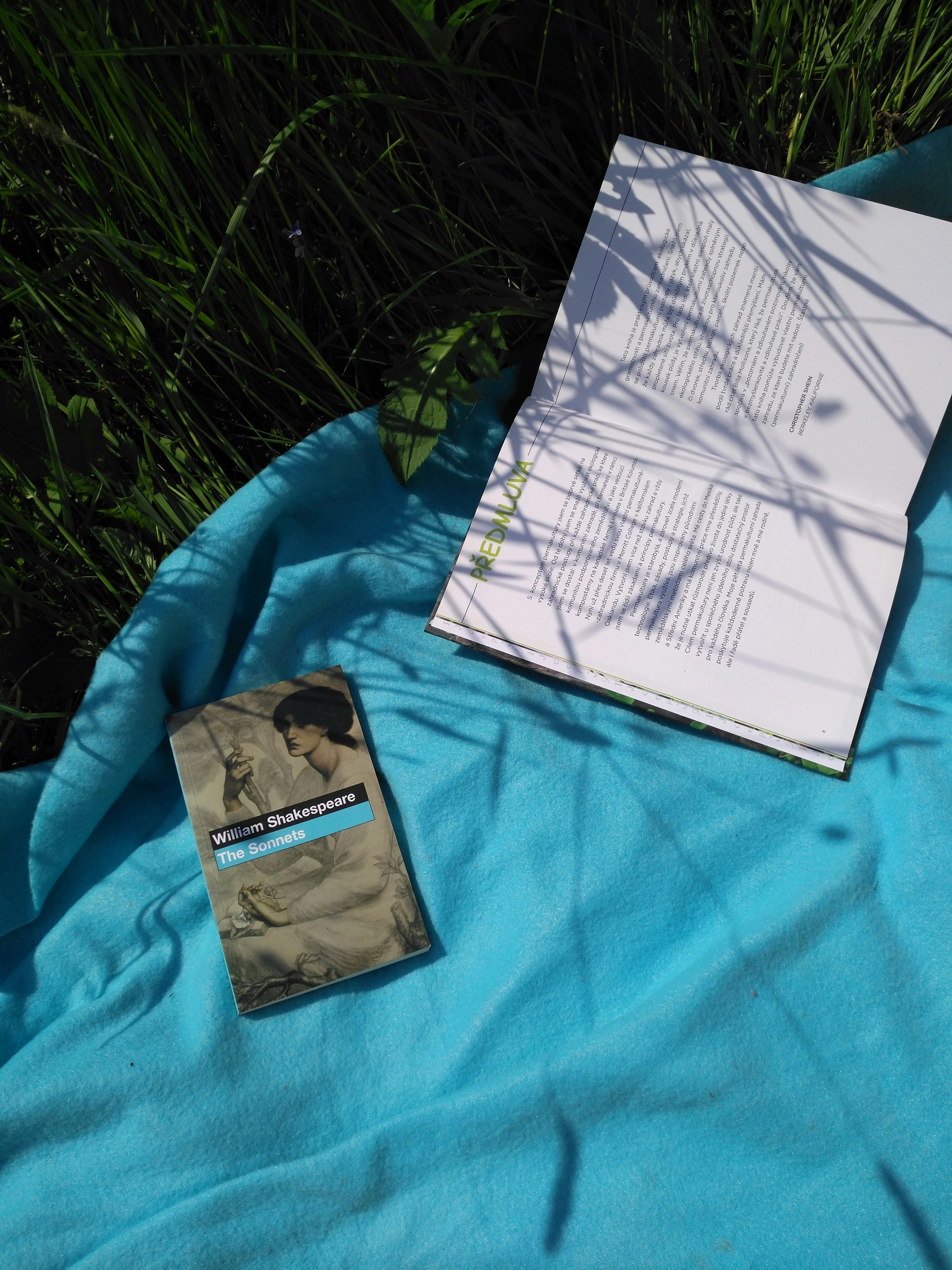 white printer paper on green textile
