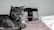 A grey tabby cat lies on a white and red striped fabric, next to a stylish Prada handbag with a black strap and metal detailing. The relaxed pose of the cat and the elegant design of the handbag create a blend of casual comfort and sophistication.