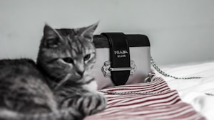 Purrfect Tote Bag