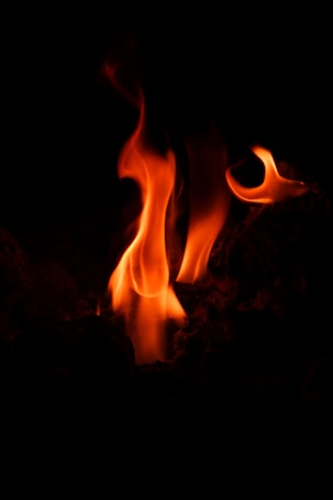 Vibrant orange and red flames flicker against a dark black background, with the fire's curves and shapes creating an organic, flowing appearance.