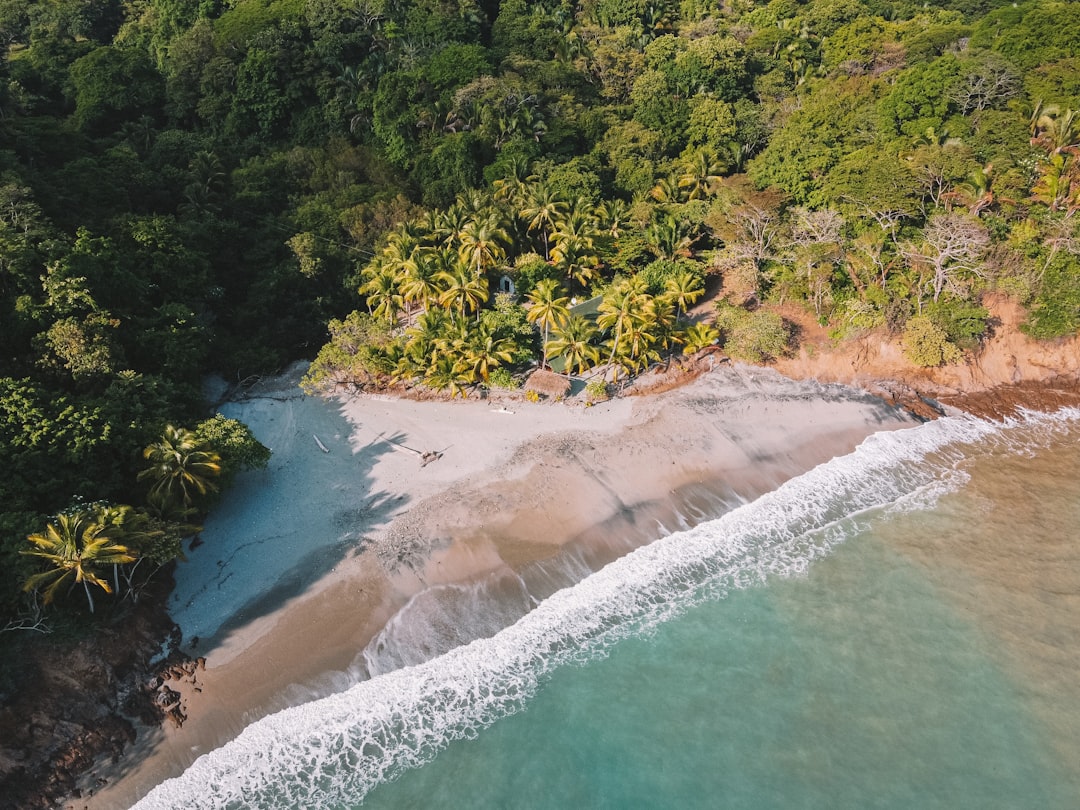 Nature reserve photo spot Playa Barco Quebrado Guanacaste