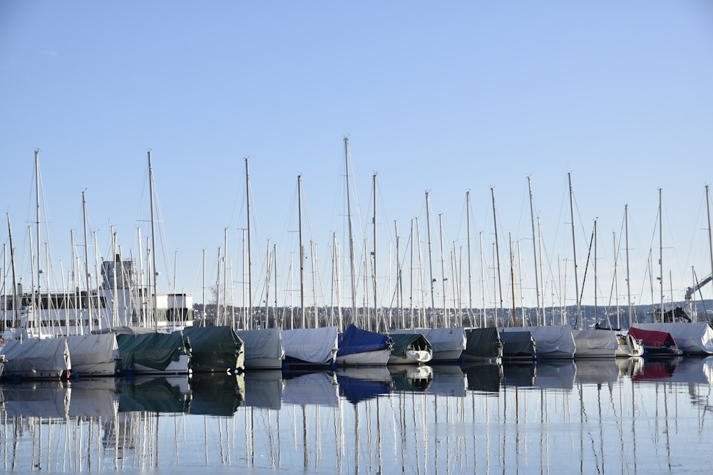 boats on dock during daytime