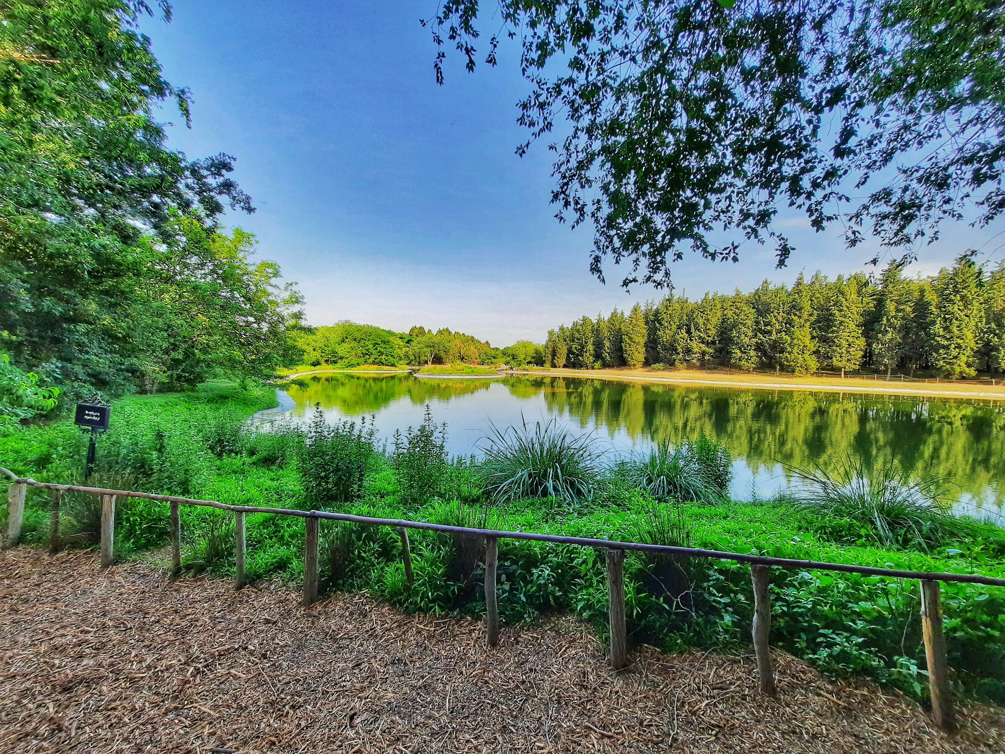 Photo by momento_photography