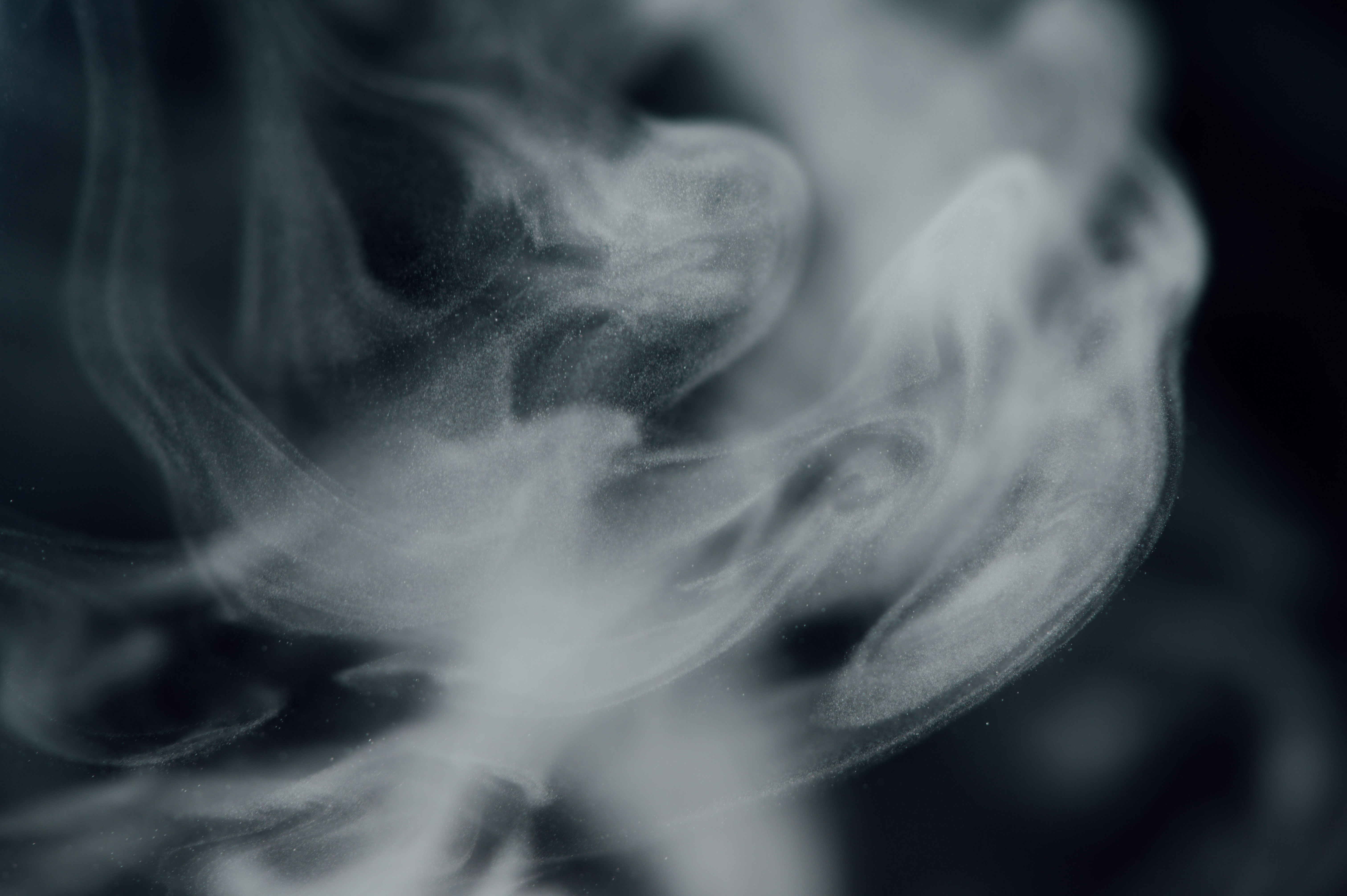 Photo by chuttersnap