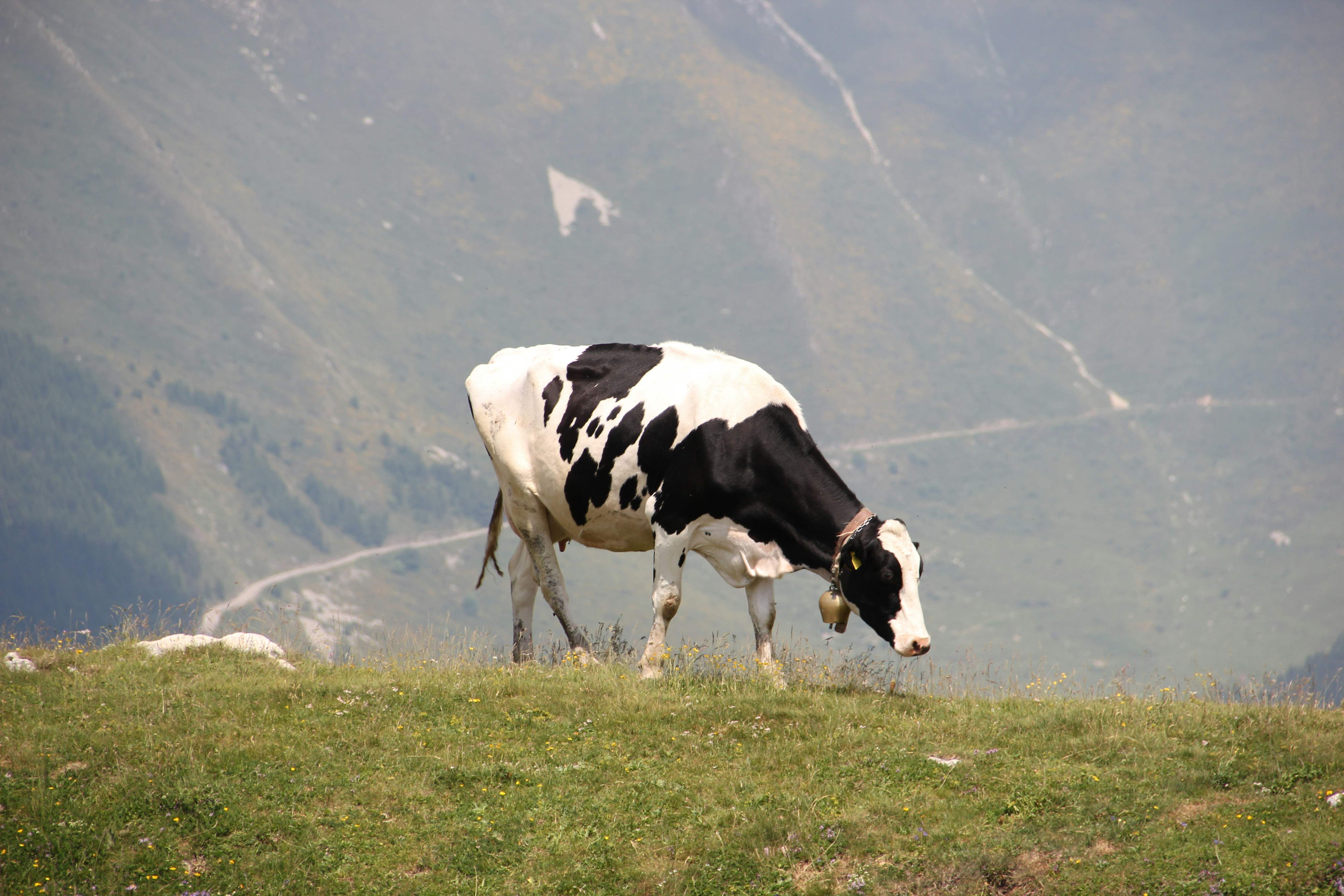 The Methane Dilemma (image credits: unsplash)