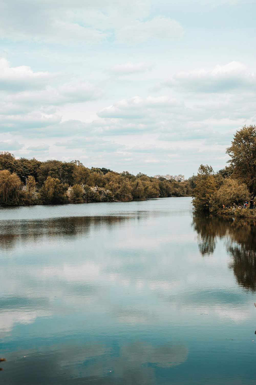 Grüne Bäume am See unter blauem Himmel tagsüber