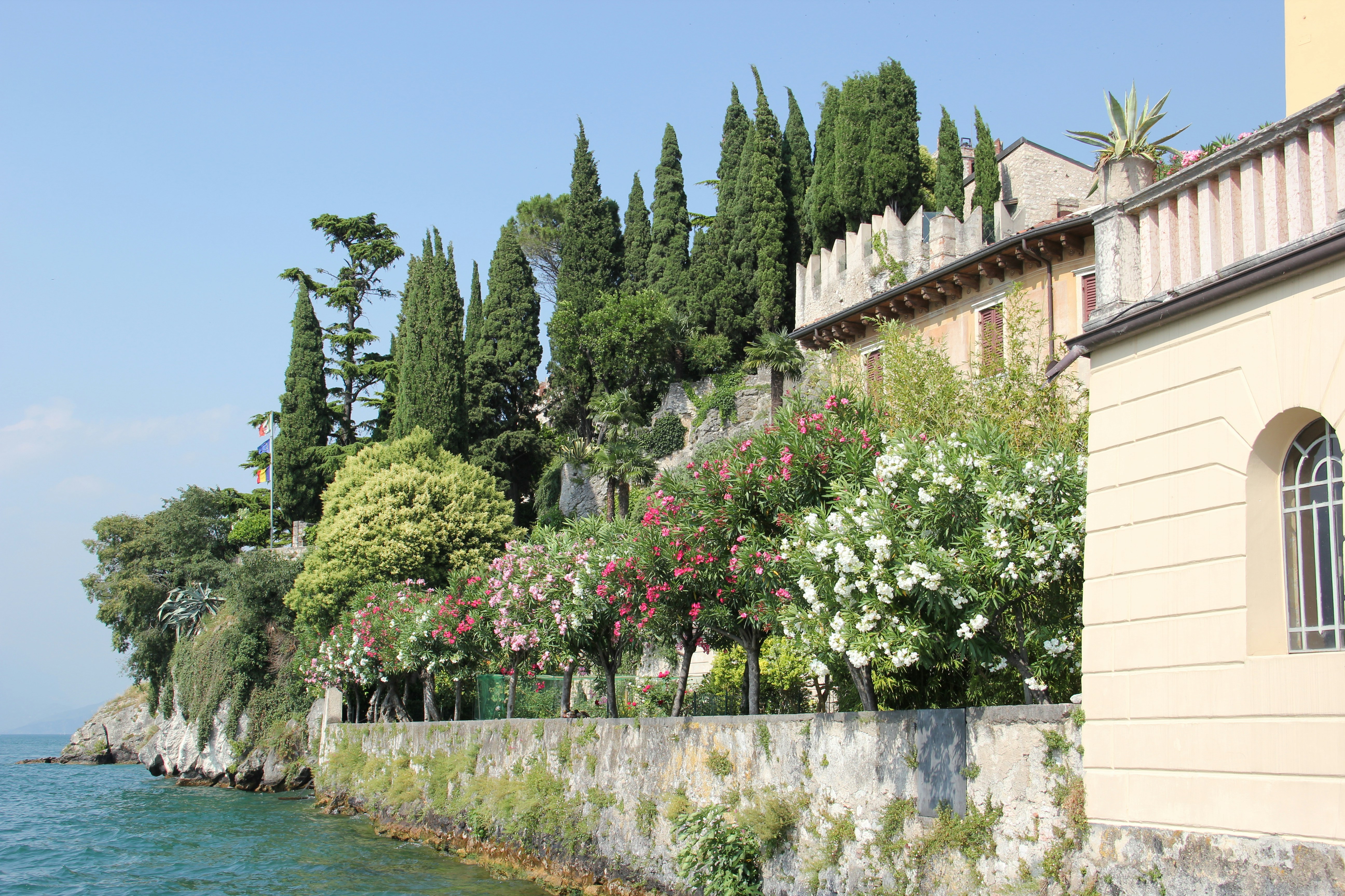 Photo by shalevcohen