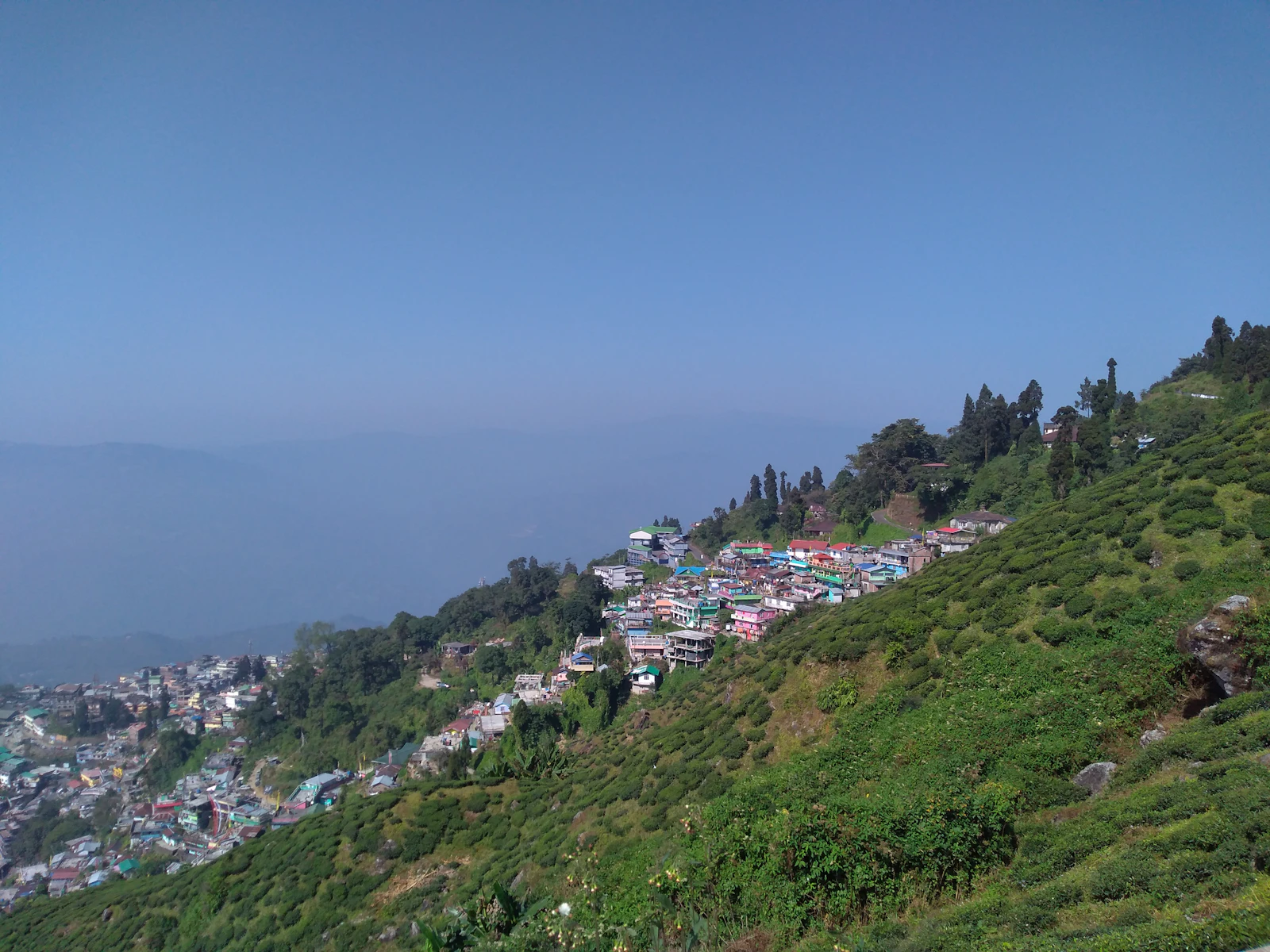 Kurseong's houses strung along the ridge above a steep slope of tea bushes, the valley lost in blue haze
