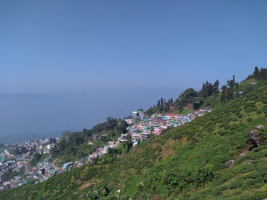 houses on green grass covered hill under blue sky during daytime in Kurseong India