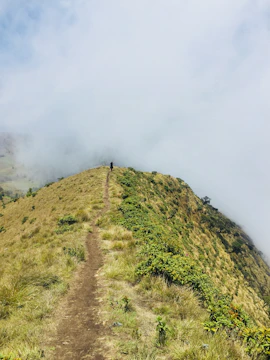 Artistic depiction of a lone traveler on a mountain path from Henry Wow's third book.