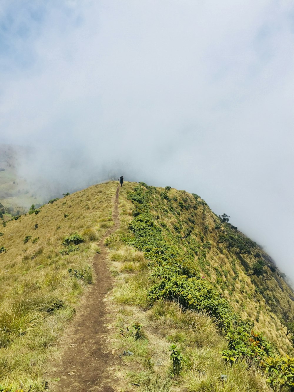 green grass covered hill under white clouds