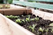 Hands planting seedlings into a compact wooden planter box on a small patio.