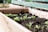 Wooden planter boxes filled with dark soil and small, green seedlings. Labels are attached to sticks, marking different plant sections. The background includes a blurred view of a green bench.