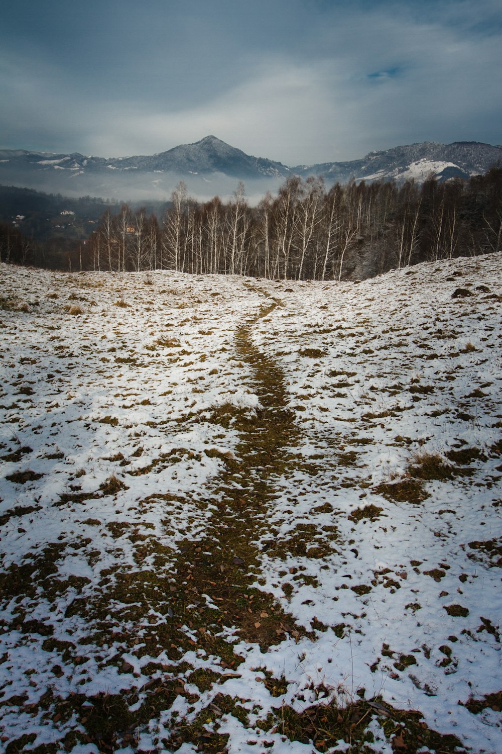 snow covered field and mountains during daytime