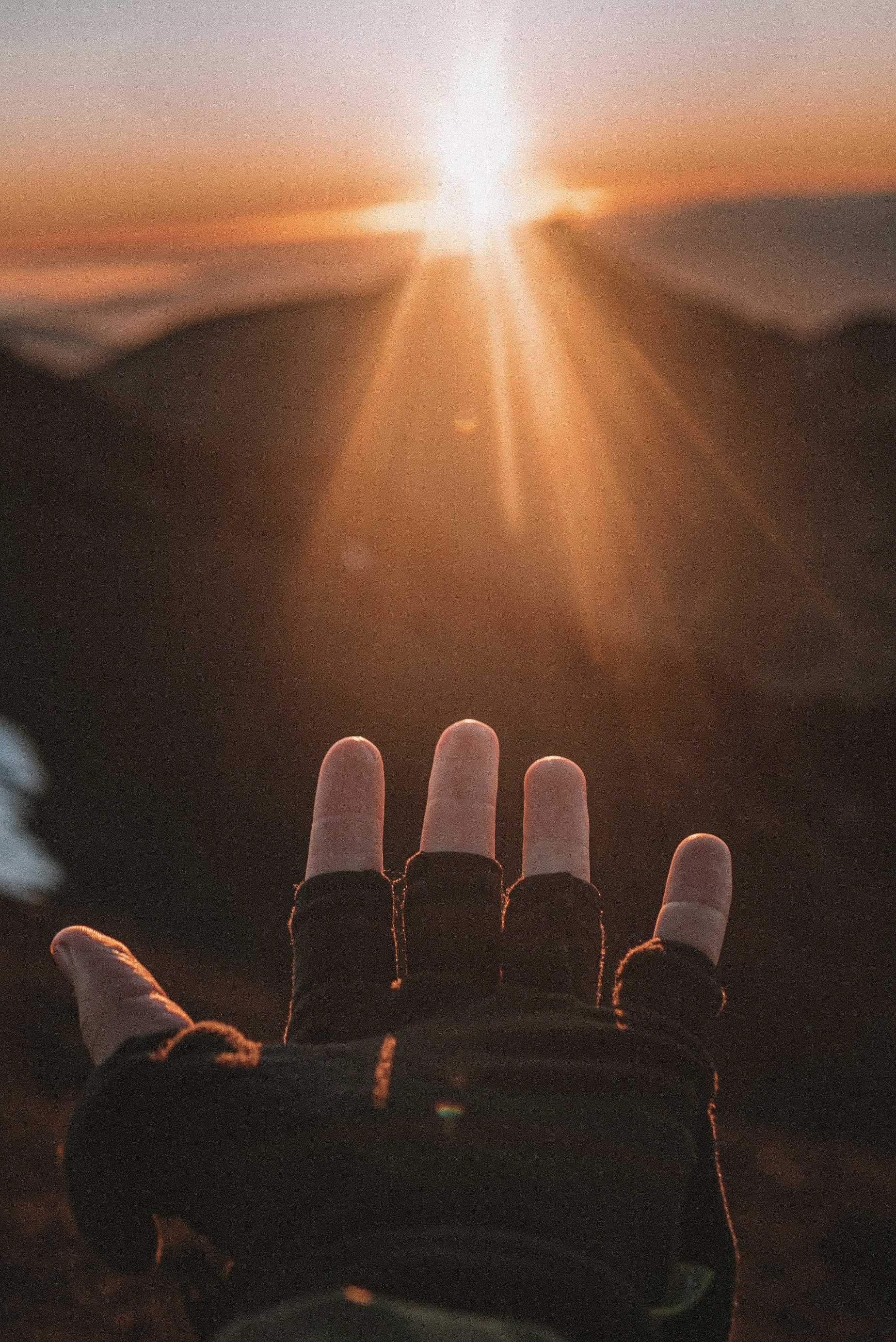 Photo by dav_billings