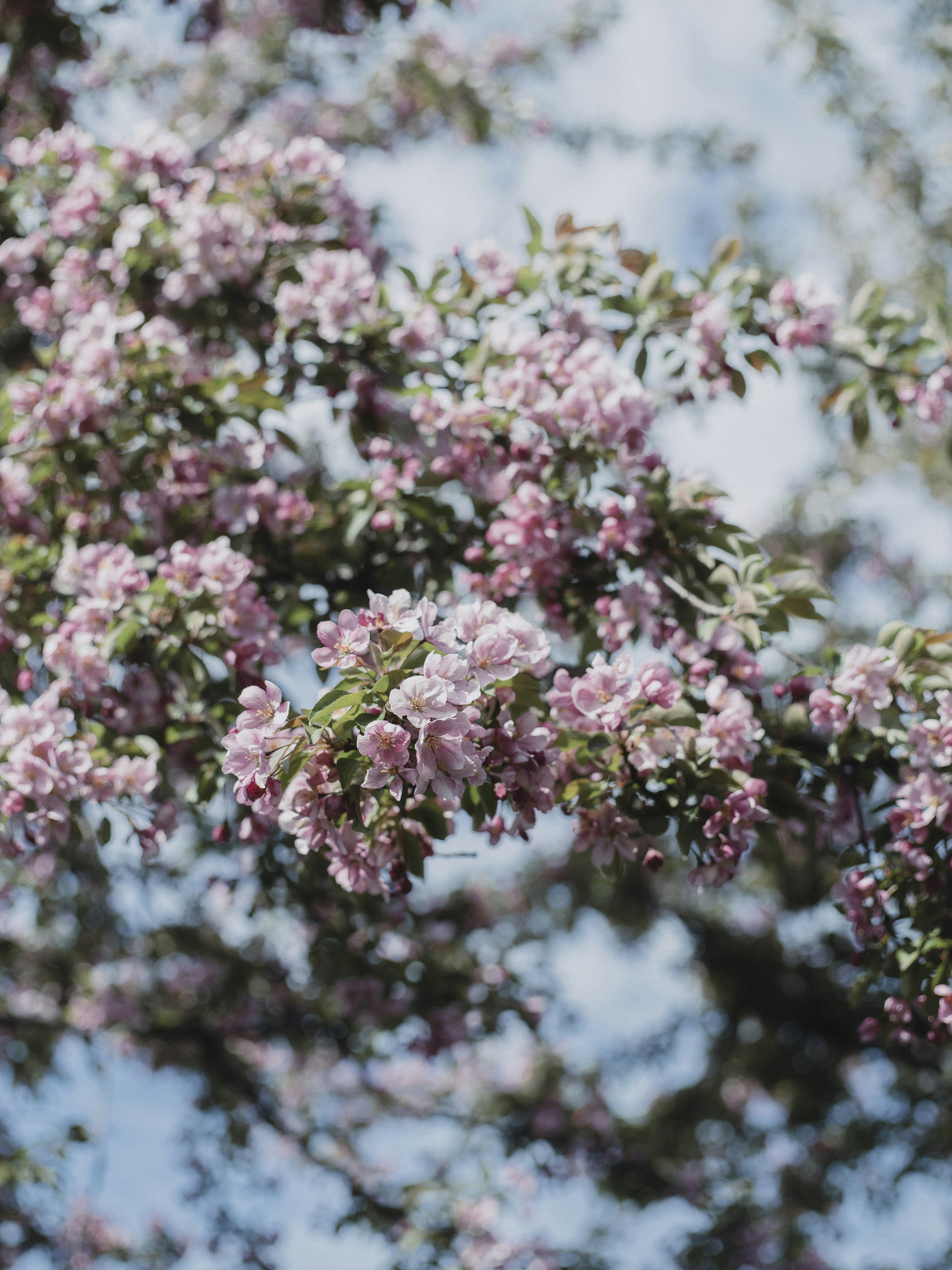 Photo by tristan_gevaux