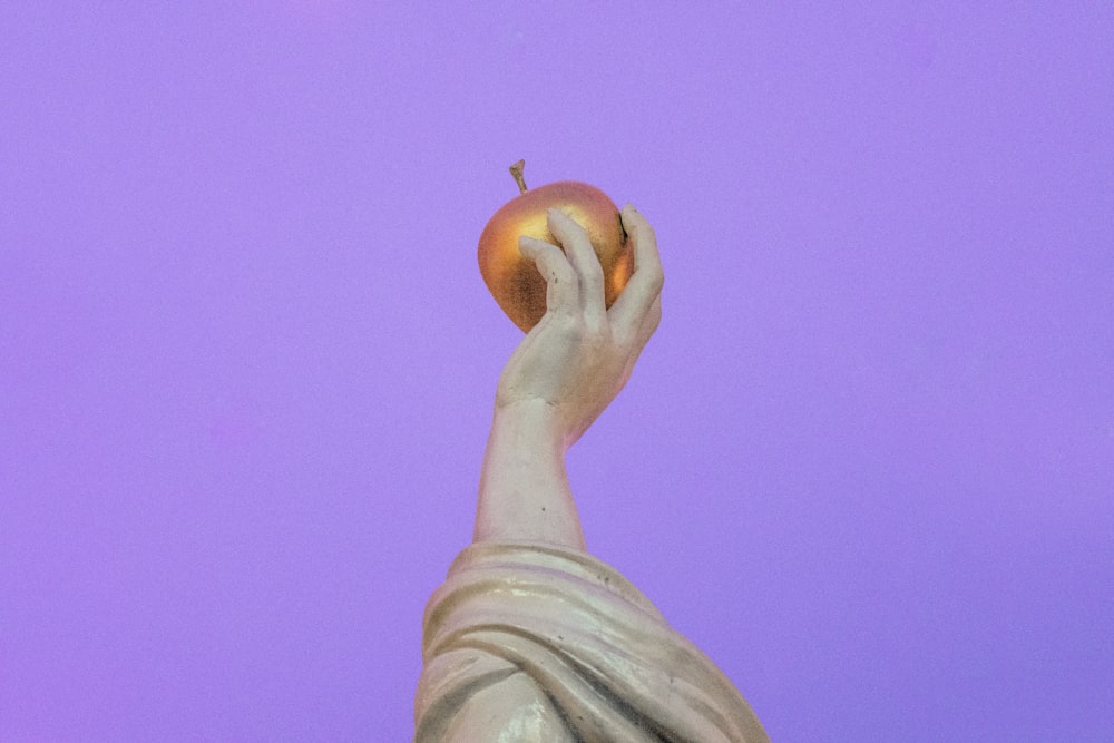 personne tenant des fruits oranges pendant la journée