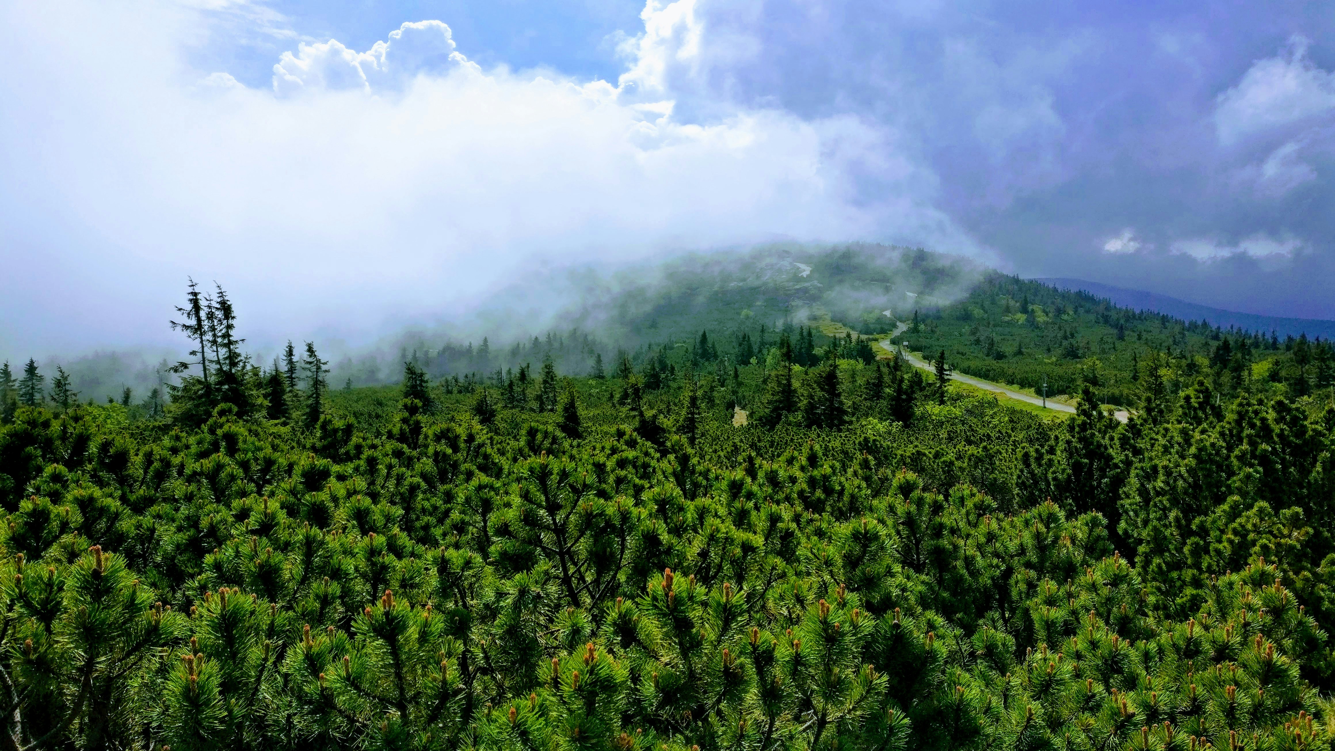 Photo by beniamin_pytlinski