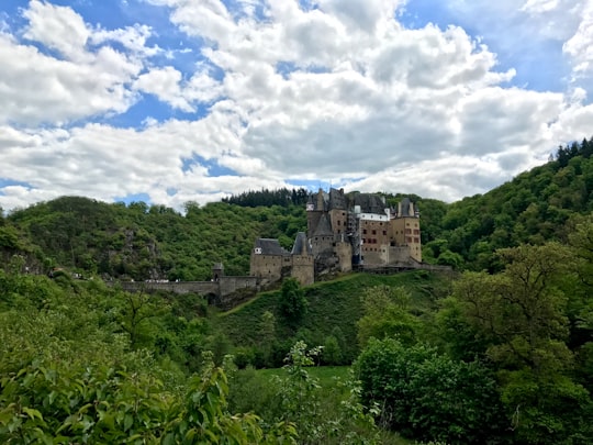 green trees under white clouds and blue sky during daytime in Burg Eltz Germany