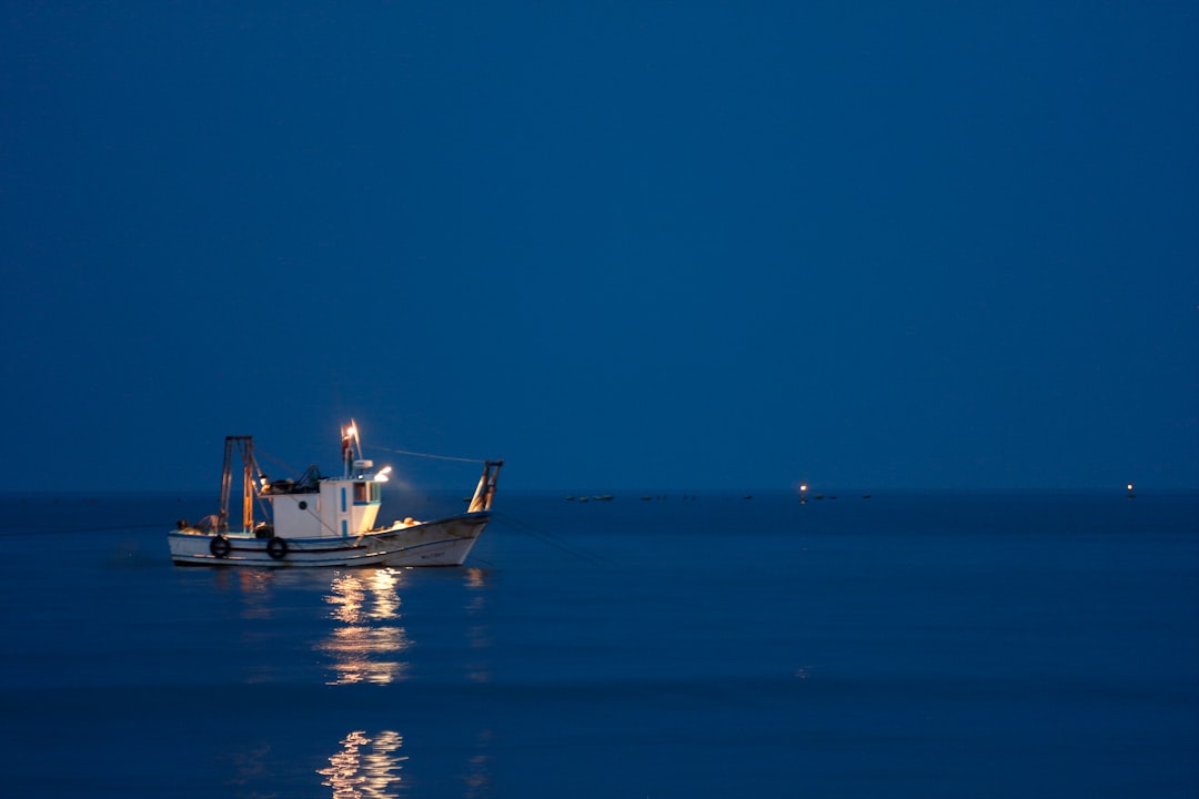 white and brown boat on sea during daytime