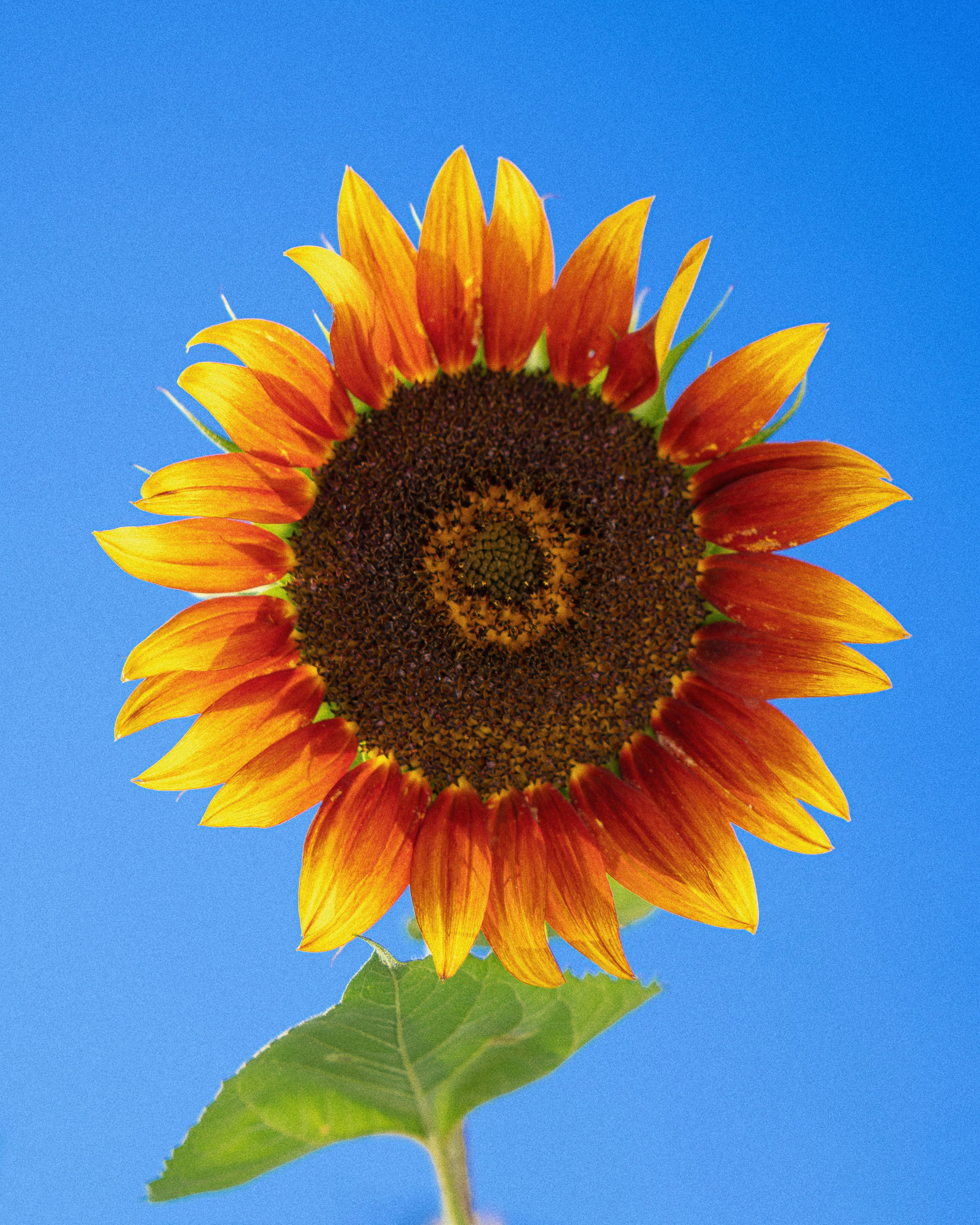 Photo by sonderquest