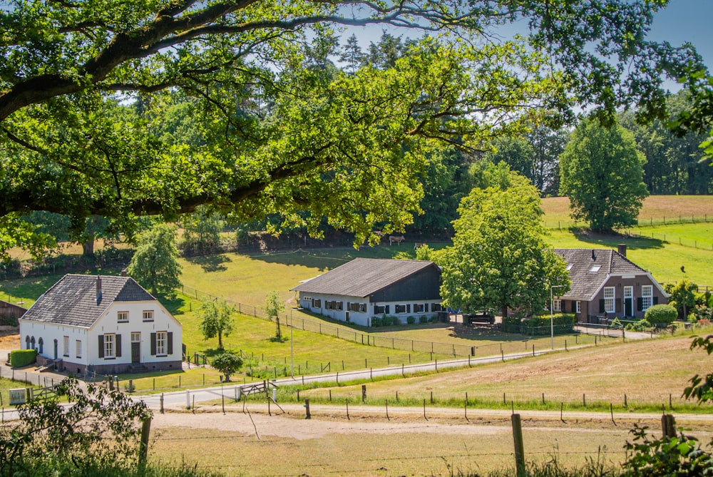 green trees near white and blue house during daytime