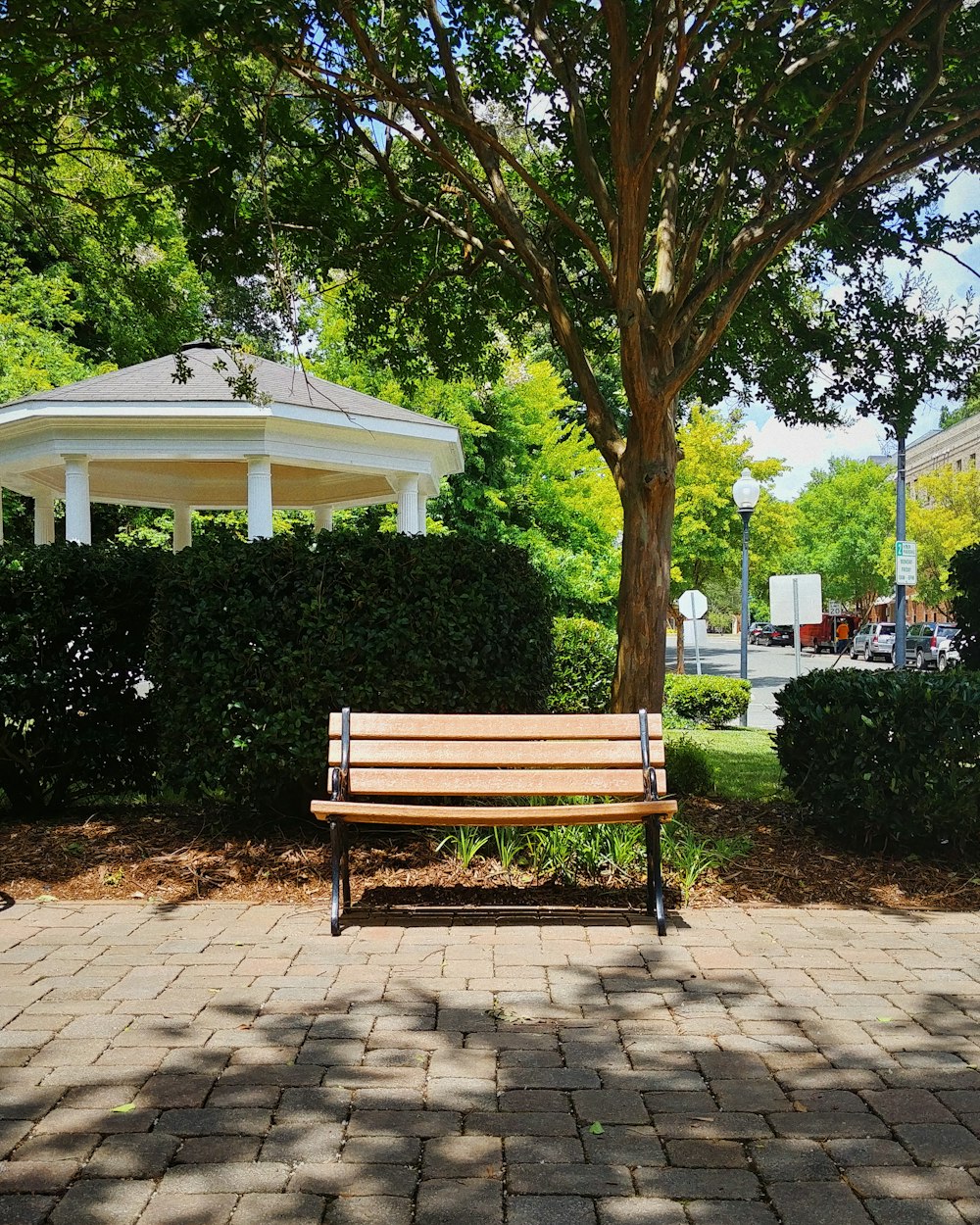 brown wooden bench under green tree