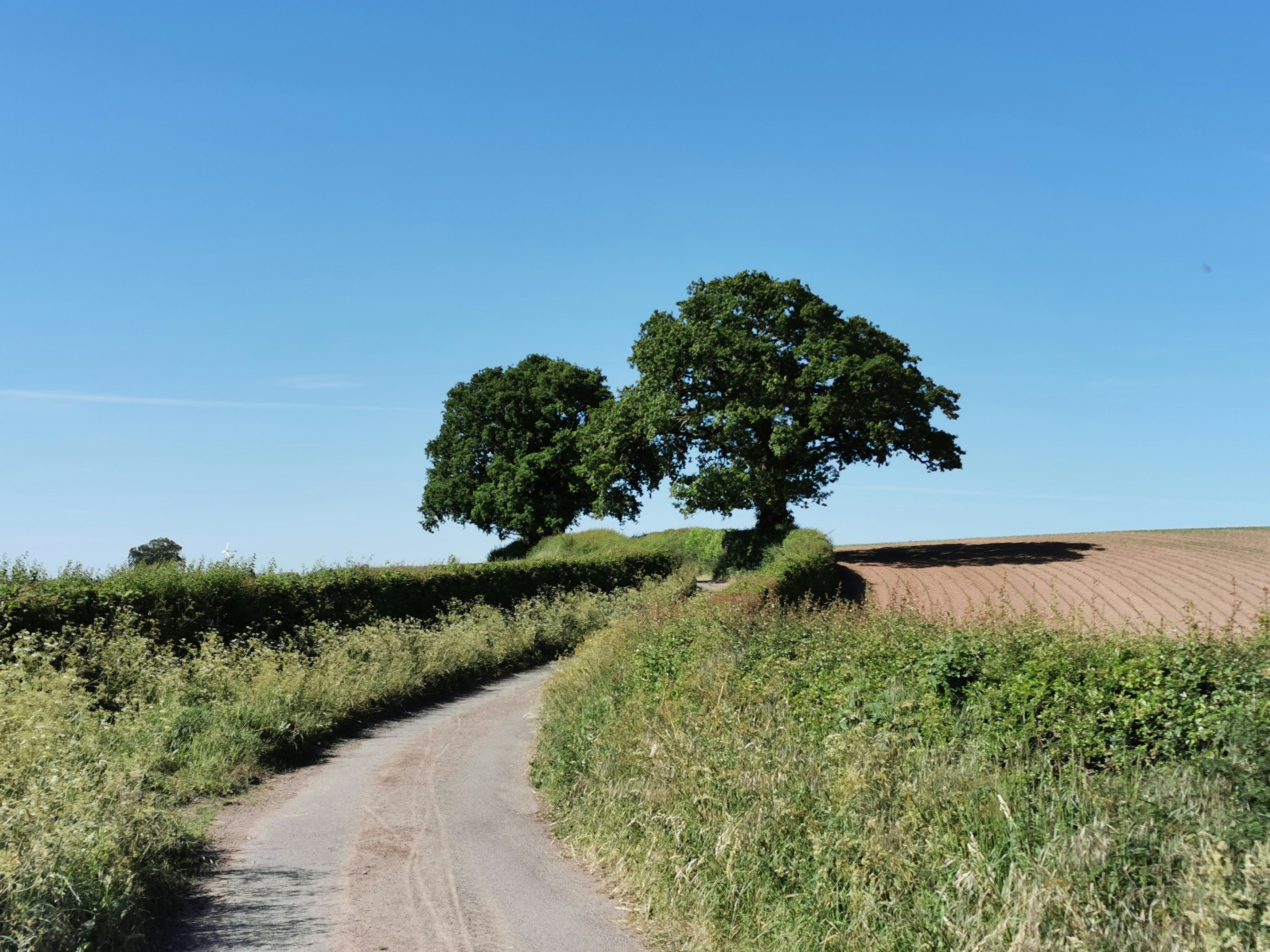 green grass field beside road during daytime, A winding road through the countryside 