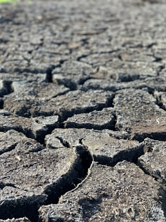 Cracked and dry earth with large fissures, suggesting a drought-stricken area or desiccated terrain.
