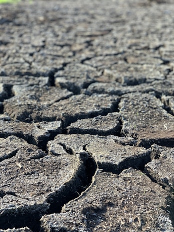 Cracked and dry earth with large fissures, suggesting a drought-stricken area or desiccated terrain.