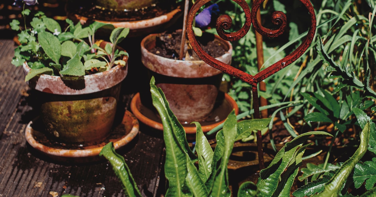 What Are the 10 Potential Drawbacks of Shared Gardening Spaces? 🌿 (2025 What Are the 10 Potential Drawbacks of Shared Gardening Spaces? 🌿 (2025