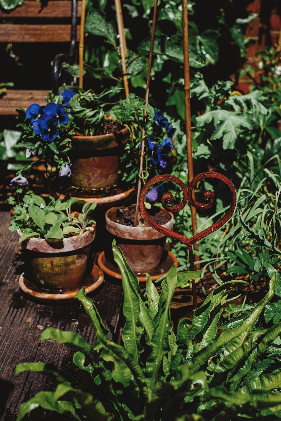 green plant on brown clay pot