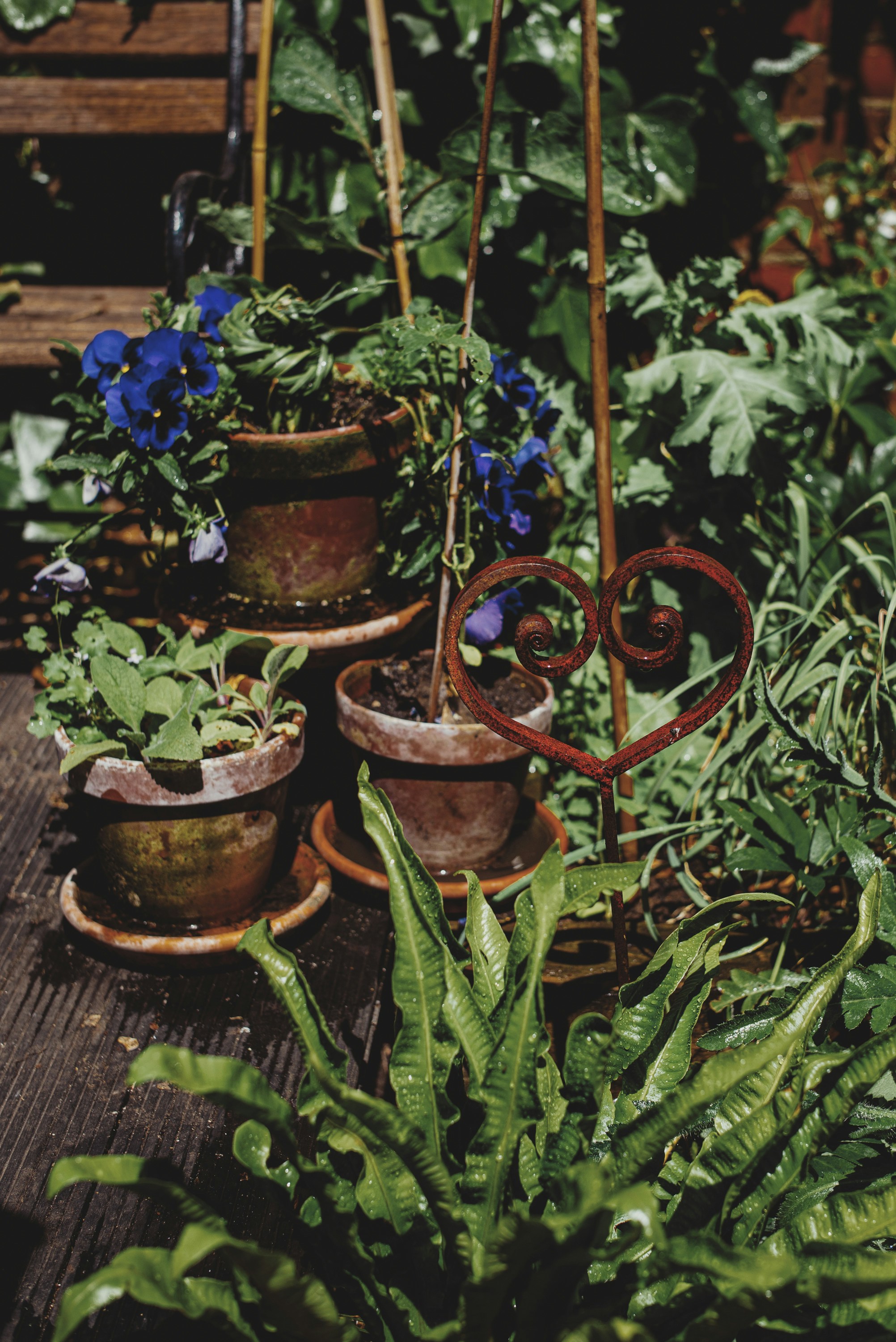 Promotions Jardinerie Année