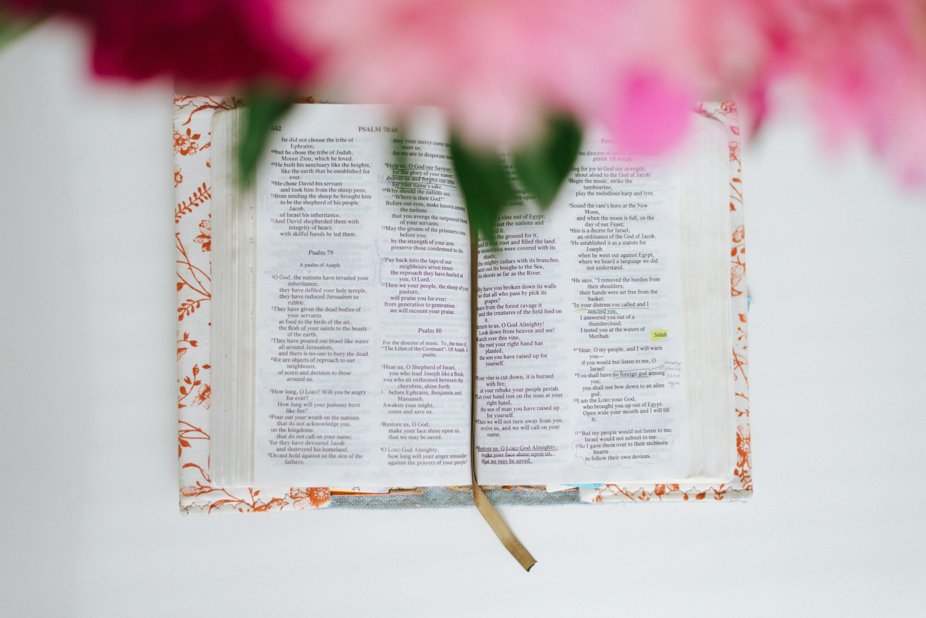 white book page with pink flowers