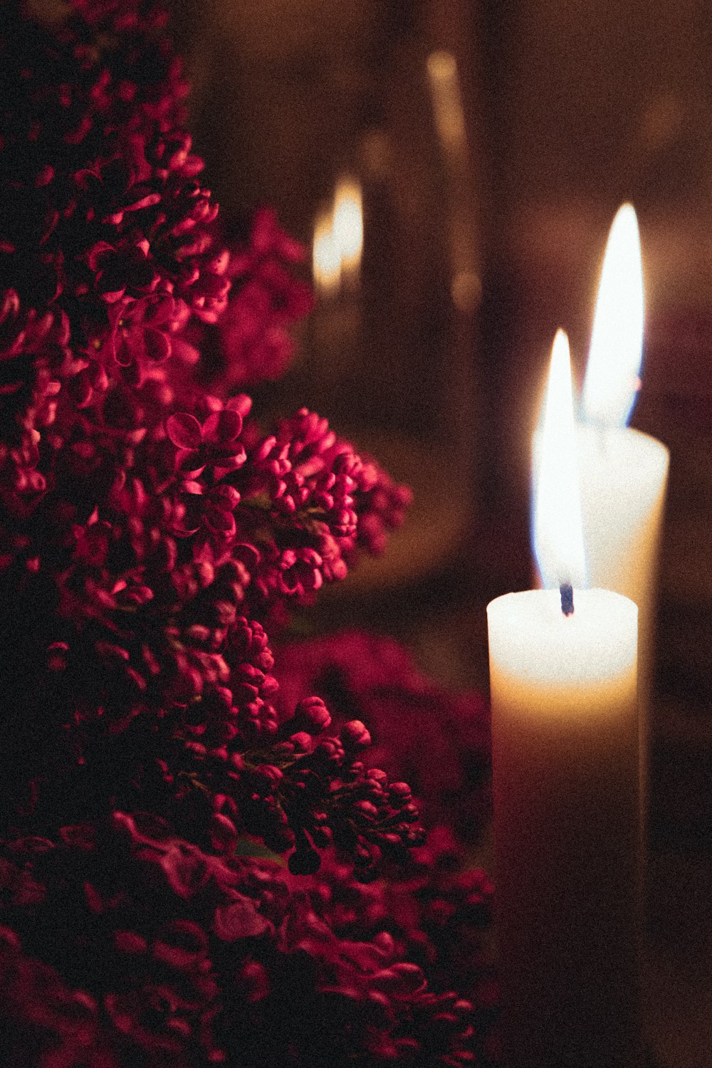 white candle on red flower