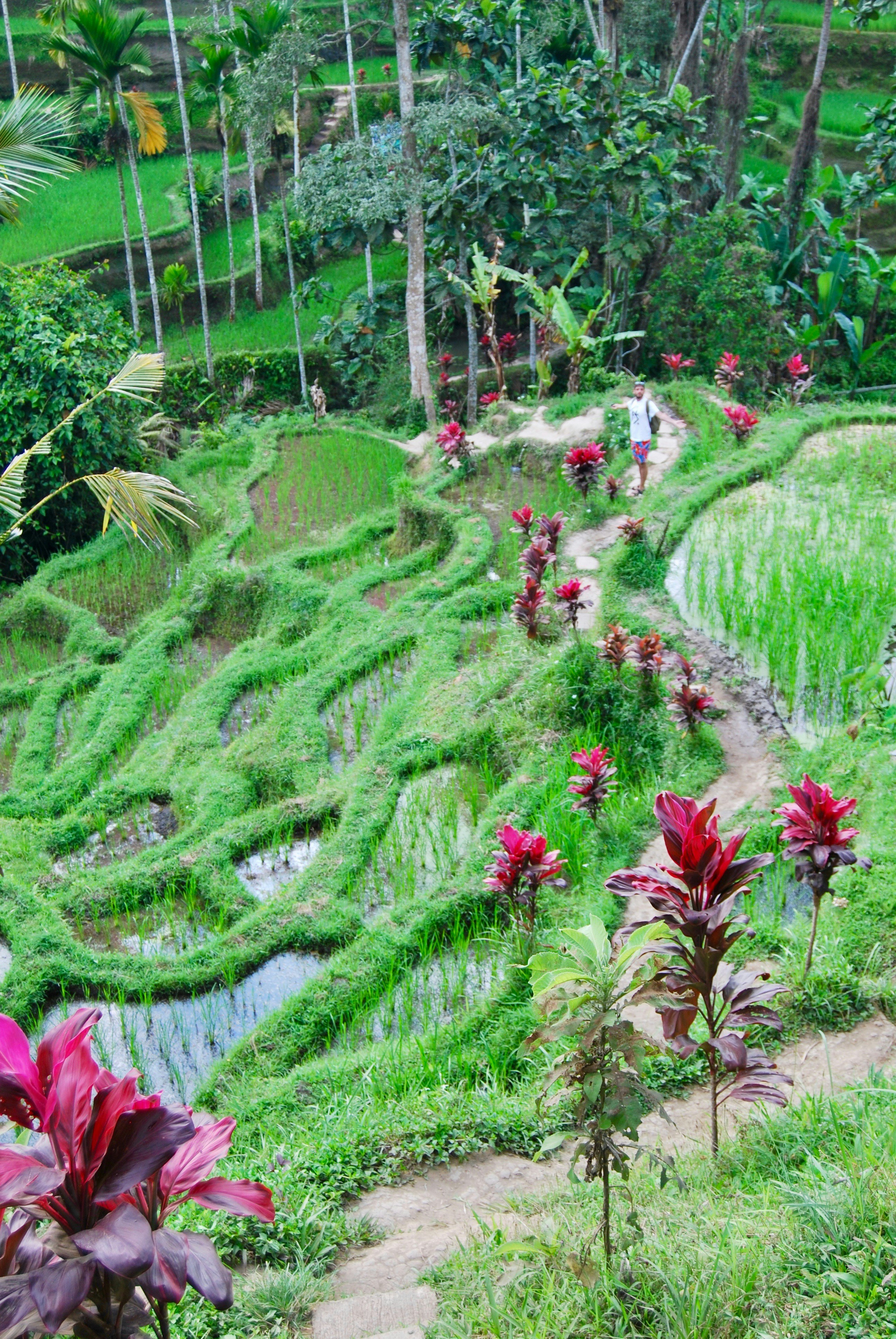 15 Culinary Travel Places Promoting Biodiversity Through Organic Farming