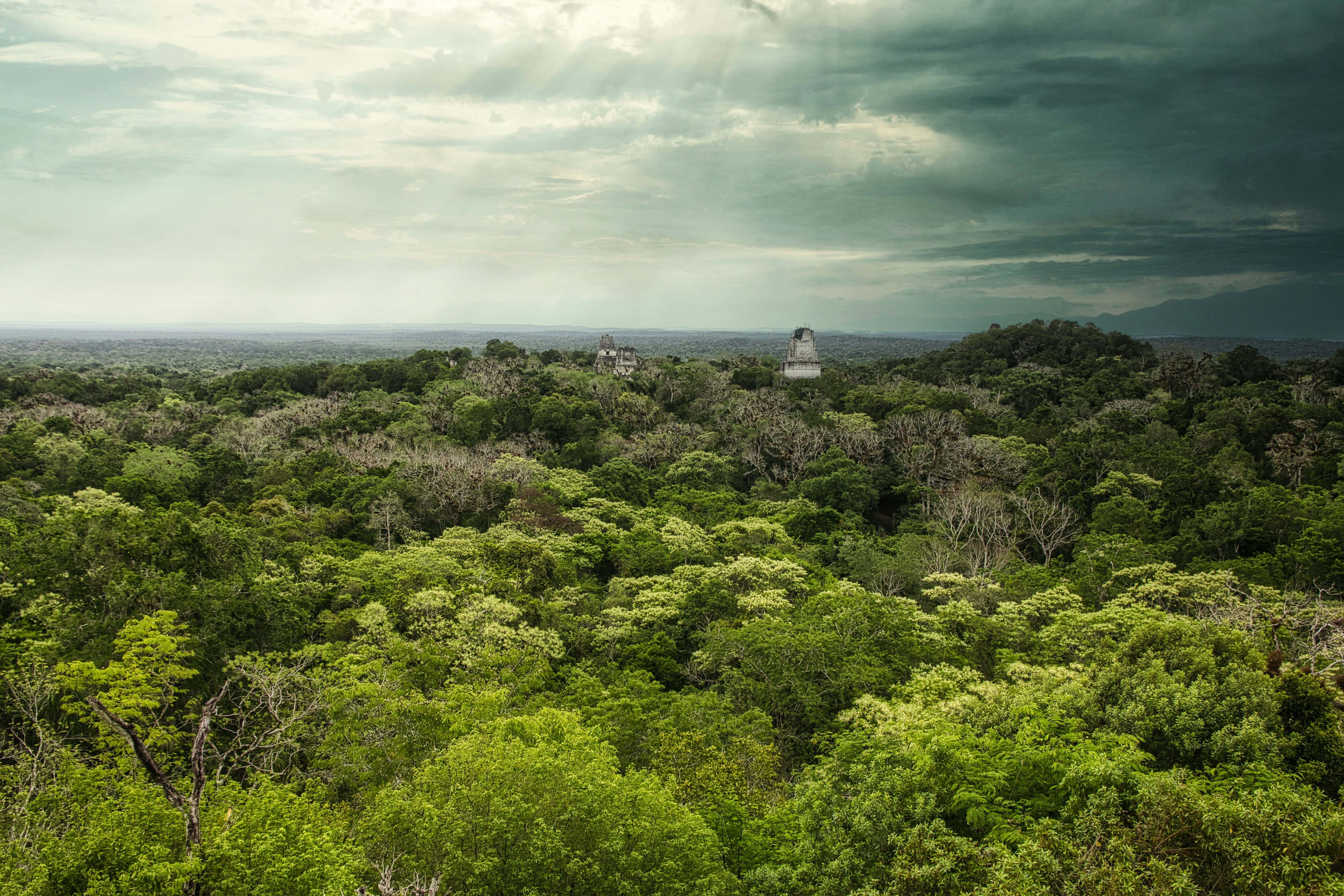 🇬🇹 Tikal e la giungla pericolosa