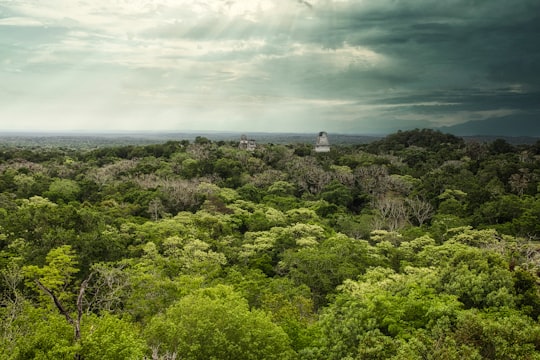 green trees under white clouds during daytime in Tikal Guatemala