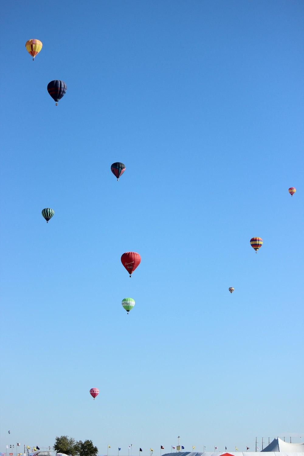 hot air balloons in the sky