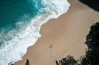 people on beach during daytime