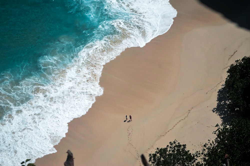 people on beach during daytime