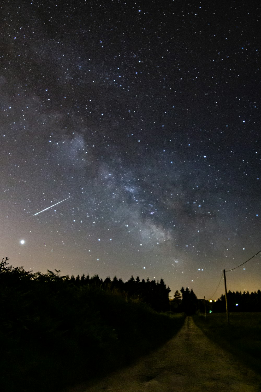 silueta de árboles bajo la noche estrellada