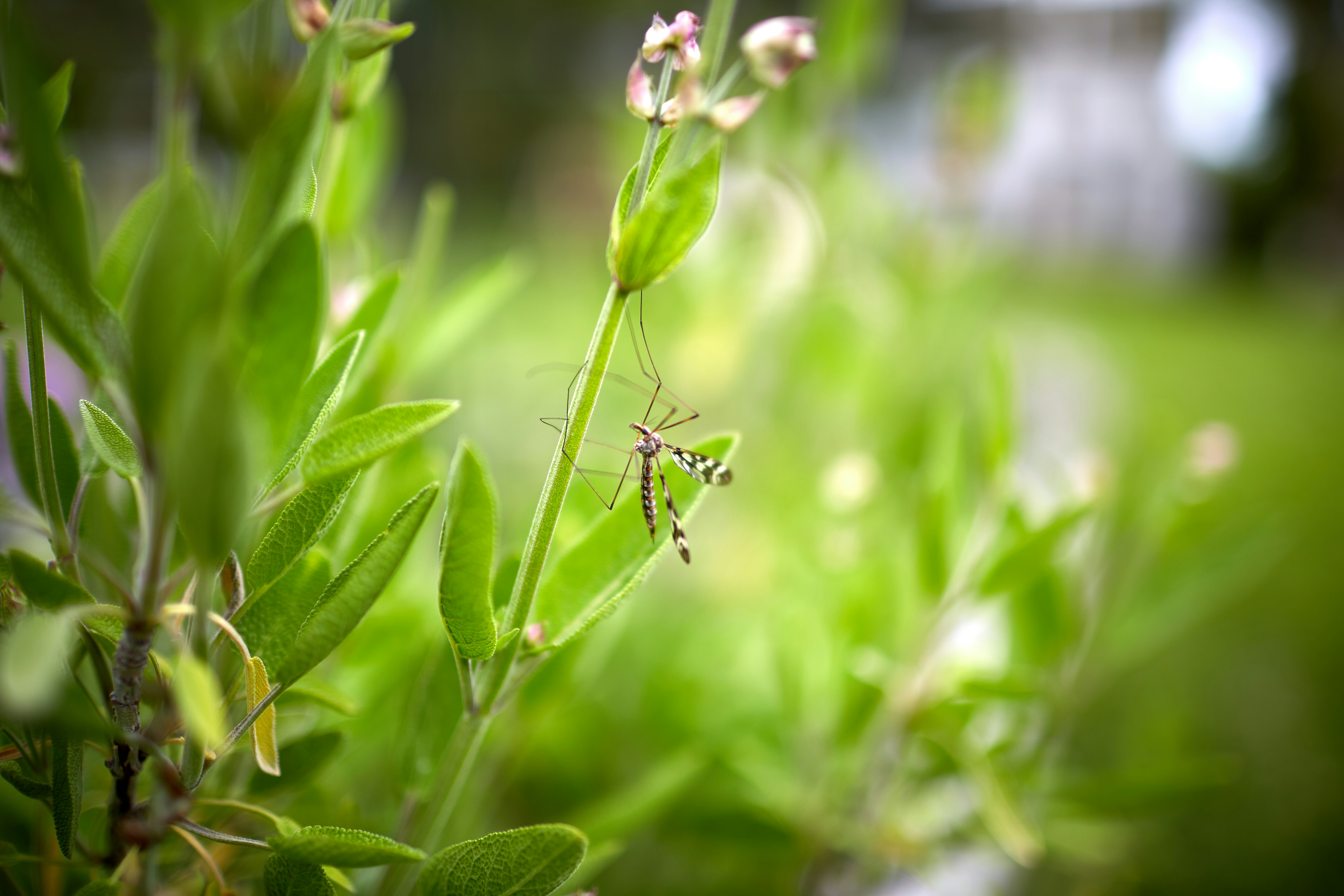 Photo by davidtoddmccarty