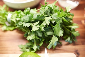 green leaves on brown clay pot