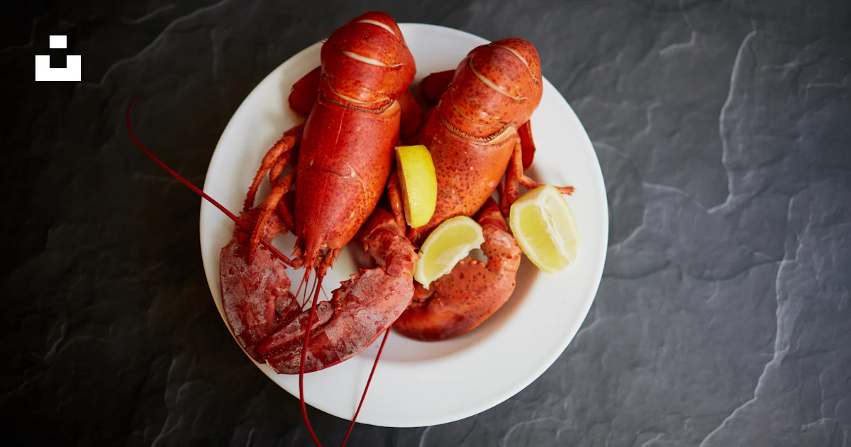 Homard rouge sur assiette en céramique blanche photo – Photo Homard ...
