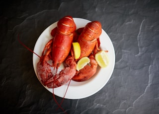 red lobster on white ceramic plate